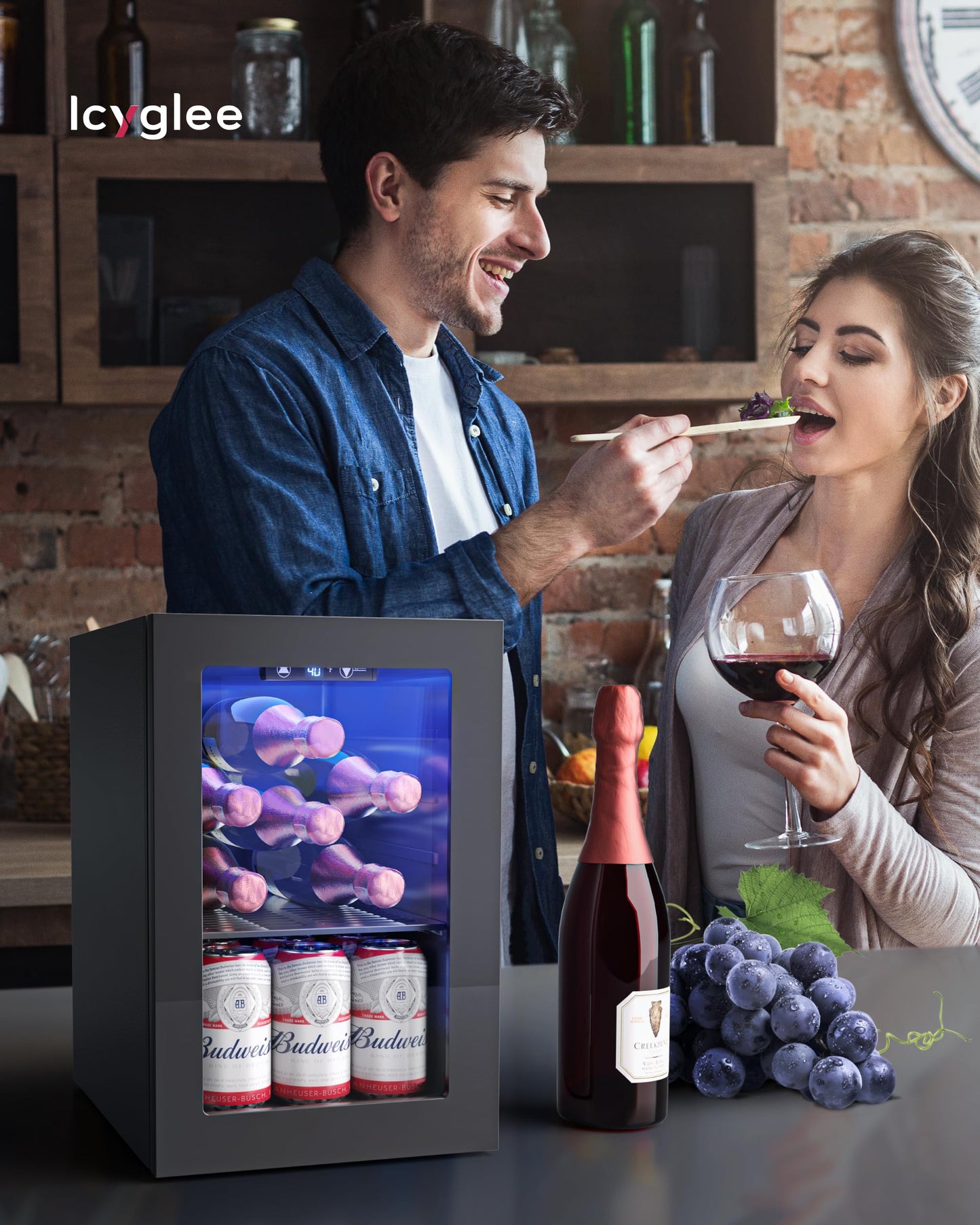 Icyglee Mini Beverage Refrigerator for Wine & Beer 6 Bottles 6 Cans
